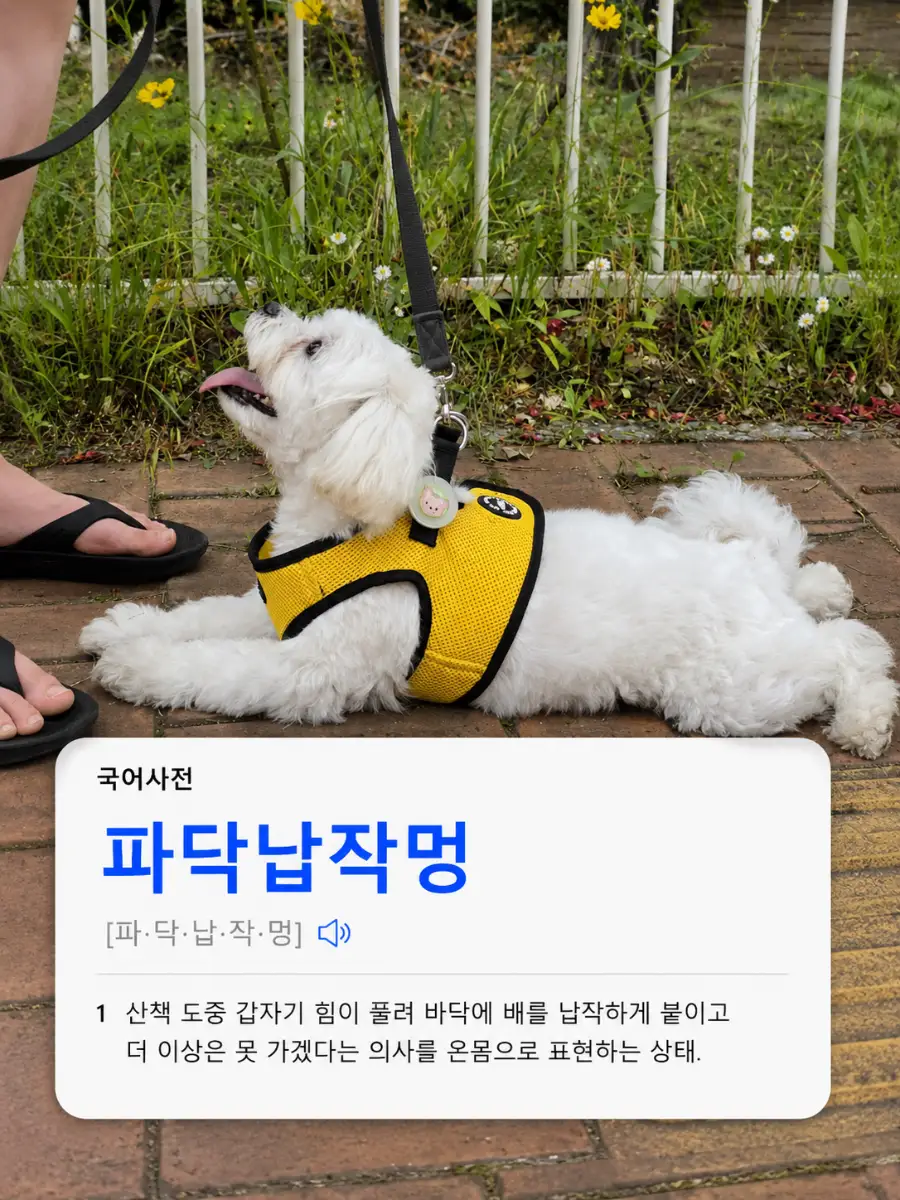 내새꾸 사전 만들기